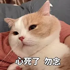 猫睡觉表情包的 搜索结果_360图片
