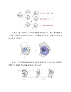 ♚画情采集到(PDF版本)动漫人体结构表现技法专项训练