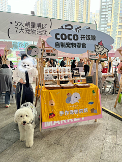芳山妮妮采集到PETS-萌宠友好