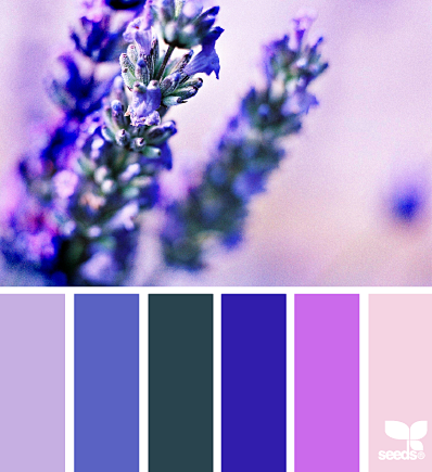 nature brights 20140...