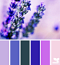 nature brights 20140302