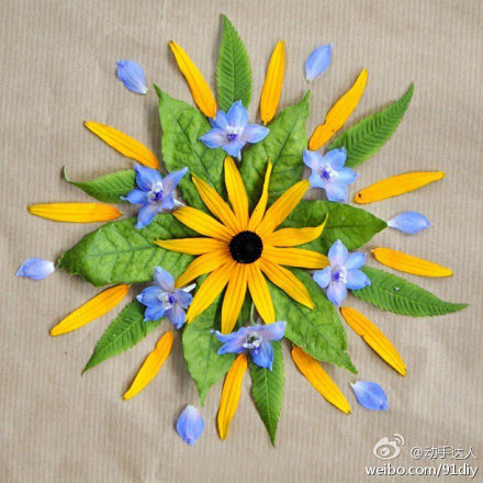 喜欢把花瓣和一些植物摆放成一副副很有装饰感的图案,因为家中有个