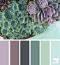 succulent color