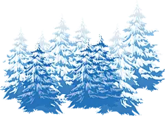 手绘雪松松树PNG免抠素材松树