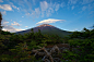 春夏秋冬の富士山