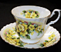 Royal Albert Yellow Primrose