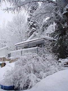 安之若素◆采集到会有雪精灵的地方