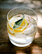 gin & tonic + lavender sage honey syrup | >Food & Drink<