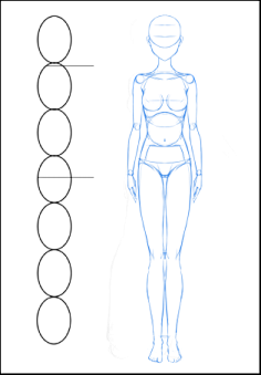 人体结构运动规律