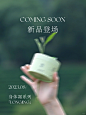 新品预告 | 于盛夏煮茶 寻隐世清凉