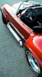 Cobra