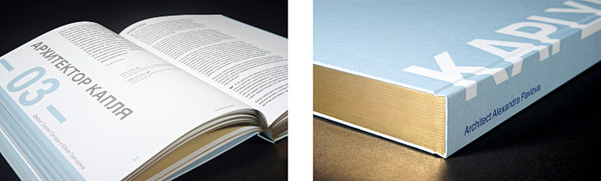 Book Design Kaplya /...