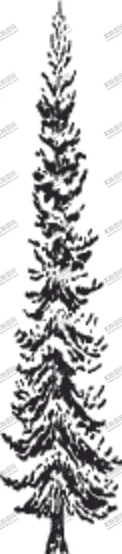 植物系列树木树干树枝树 【酷图网】植物系列,树木,树干,树枝,树形,剪影,黑白图,植物剪影,大自然,铁艺,镂空,雕刻,精美,装饰,酷炫,潮流,背景图,底图,包装设计,元素,板报,海报,模板,企划,图标,标识,标志,简易,乔木,常青树,大树,木质,木柴,参天大树