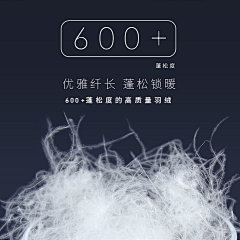 Nelly110181采集到图标