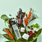 primera brand image for sephora I — generalgraphics : primera product image for sephora I 2019 amorepacificprimera is a cosmetic brand with the concept of sprout energy of plants. in line with entering...