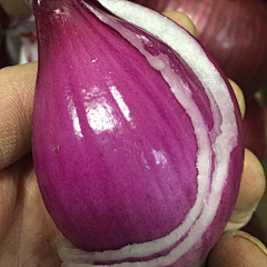 〃紫藤花っ采集到洋葱
