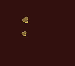 cckay采集到gif