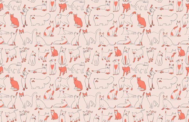 Red Cool Cat Pattern...