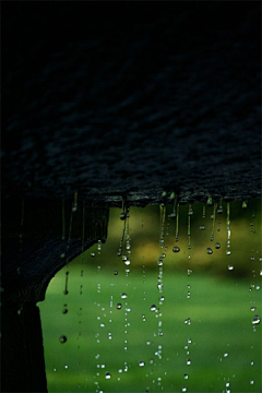 程伊采集到听雨