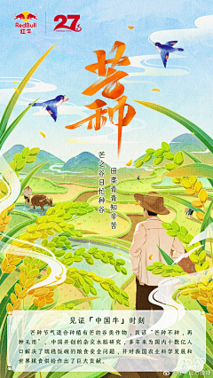 怀玉握锦采集到农村