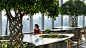 树桌花园 : 7个最具创意的树桌花园设计