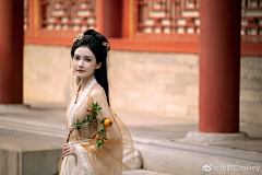 隔壁的大兔子采集到摄影