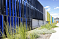 Blacktown Animal Rehoming Centre (BARC) by Sam Crawford Architects : Bold colour and  six ﬁnger-like buildings
