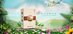 点击图片下载全套PSD源文件：茶类 春茶 秋茶 铁观音 普洱 菊花茶 花茶 玫瑰花茶 中国风 清新 熟茶 生茶 茶饼 黑茶 海报 banner图 首焦 首页 PC 无线 大气 作品 时尚 首屏 全屏海报 背景 素材 下载 PSD分层 模板 美工 设计师 模型 主图 活动页面 可编辑 钻展 直通车 活动海报 详情页 描述