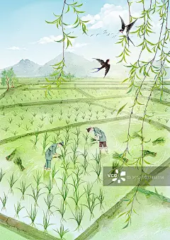 小清新水彩风格古风风景插画 插秧图片素材