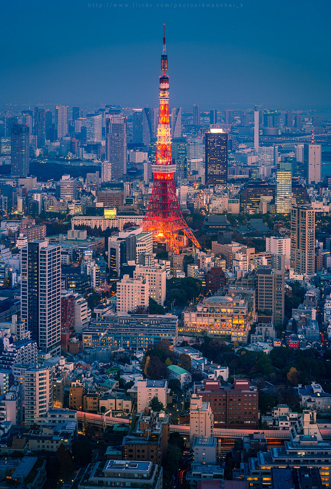 全部尺寸 | Tokyo Tower |...