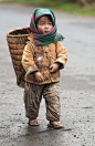 Little Hmong Harvester, , Houra_Ershad - CGSociety