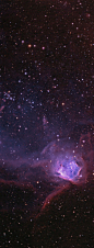 Deep and Rich in Color Purple Nebula