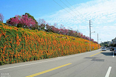 花绽采集到D-道路边坡护坡、盘山道