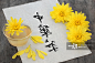 菊花茶图片素材