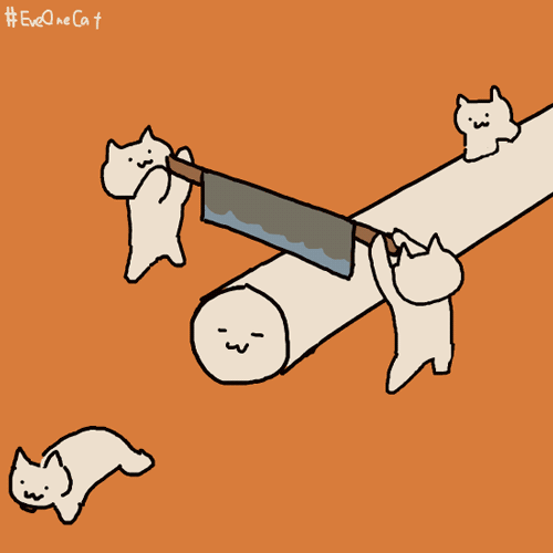 神经猫系列。。。和日常高冷的主子真是不一...