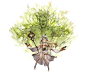 Zoom 3040047000 01.png