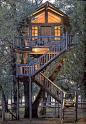 decorology: Amazing Treehouses I'd actually live in