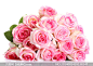 粉红玫瑰花束近景特写摄影高清图片 - 大图网设计素材下载