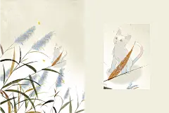 &quot;大榴莲的治愈魔法——色彩的冷暖光影&quot;-大榴莲-花瓣LIVE