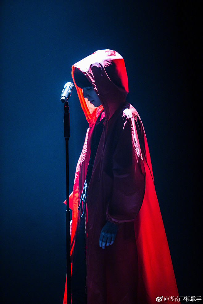 华晨宇 (66)