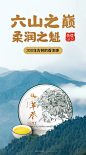 春茶预售古陌2021年革登古树纯料春茶生茶357g生饼云南普洱生茶饼-tmall.com天猫
