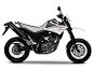 Yamaha XT660X (2009)