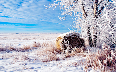 索梵视觉采集到冰山雪景          丨素材类