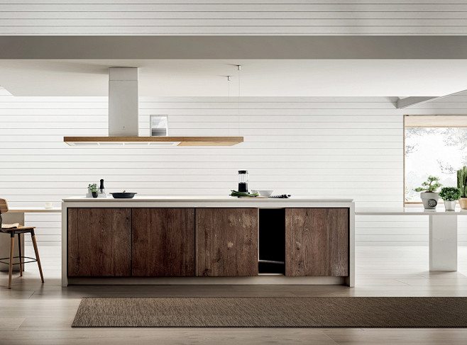 Wood Kitchen - Elica...