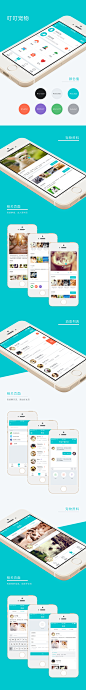 叮叮宠物APP UI设计 - 图翼网(TUYIYI.COM) - 优秀APP设计师联盟