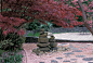 Foster garden contemporary-garden
