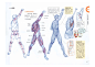 RockHe Kim s Anatomy Drawing Class汉化_页面_287