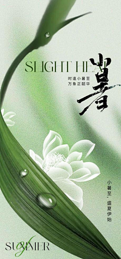 还要怎么改采集到节气海报