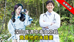 利百万·采集到小说