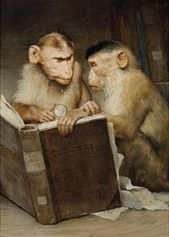 时光的末端采集到插画萌物